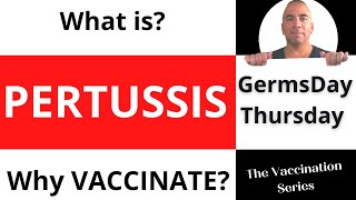 What is Pertussis? | Why vaccinate for Pertussis | Whooping cough