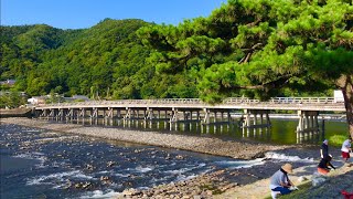 2019年8月9日(金)真夏の朝 京都嵐山の風景🌟Arashiyama  Kyoto  ✨ 岚山🌱【4K】