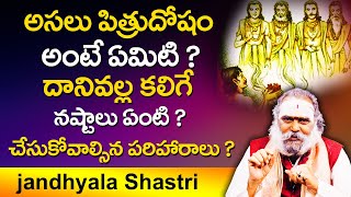 పితృదోషం తొలగిపోవాలి అంటే ఇలా చేయండి || Dr.Jandhyala sastri astologer || Pitru Dosham | Matru Dosham