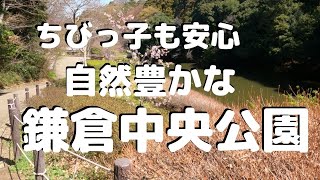 【鎌倉中央公園】鎌倉に湖があるとか、ないとか...自然と緑の息づかいが最高です。