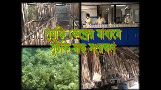 প্রযুক্তি কেন্দ্রের মাধ্যমে শুটকি মাছ ও সামুদ্রিক শৈবাল সংরক্ষণ।। Conservation dried fish \u0026 seaweed