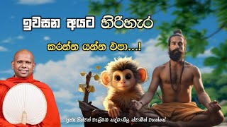 ඉවසන අයට හිරිහැර කරන්න යන්න එපා 🥺❤️ | පූජ්‍ය පින්වත් වැලිමඩ සද්ධාසීල ස්වාමීන් වහන්සේ