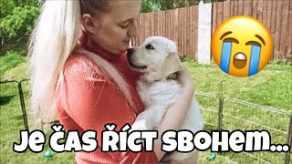 POSLEDNÍ DEN SE ŠTĚŇÁTKY 🐶😭| JE ČAS ŘÍCT SBOHEM....