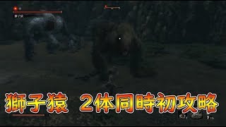 【SEKIRO】凶悪すぎた獅子猿2体同時初攻略！生放送より【せきろう攻略】