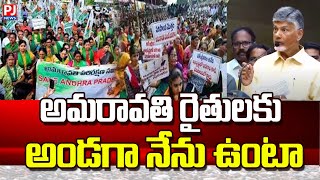 అమరావతి రైతులకు  అండగా నేను ఉంటా | chandrababu naidu talk about amaravati ritulu | chandrababu naidu