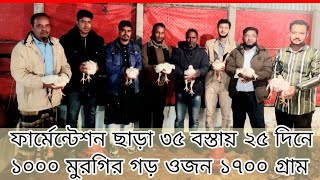 ভুট্টা ফারমেন্টেশন ছাড়া ৩৫ বস্তায় ২৫ দিনে 1000 মুরগির গড় ওজন ১৭০০  গ্রাম।