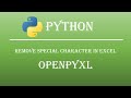 Remove Special Characters/Quotes  in Excel using python