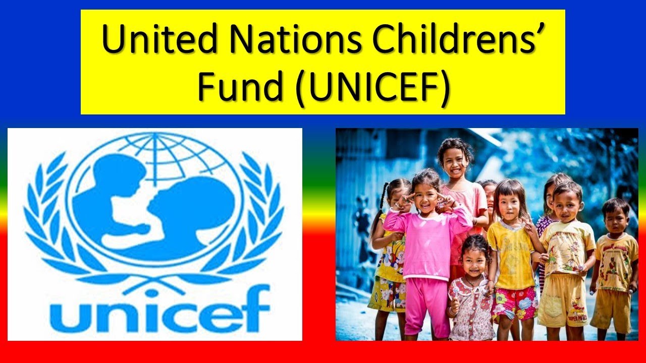 UNICEF - United Nations Children's Fund - Role , Function ... - YouTube