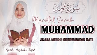 Sungguh Merdu 😭 Murottal Surah Muhammad - Kuntriksi Ellail