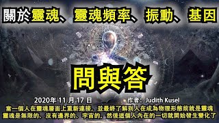 《關於靈魂、靈魂頻率、振動、基因等的問與答》當一個人在靈魂層面上重新連接，並最終了解到人在成為物理形態前就是靈魂，靈魂是無限的、沒有邊界的、宇宙的，然後這個人內在的一切就開始發生變化了