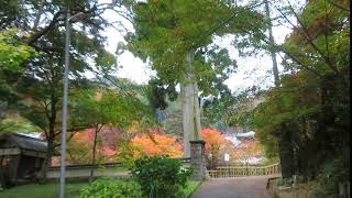 円通寺　紅葉　兵庫県　丹波三山