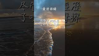 每日一句愛情語錄 浪漫愛情語錄分享 心動的愛情句子 愛的名言 EP 76 #shorts #心動 #自我治癒 #愛的名言 #感情語錄