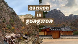 autumn in gangwon, south korea 🍁 hiking seoraksan in sokcho \u0026 biking in yangyang VLOG