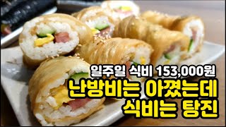 [알뜰한가계부] #160 아이들 방학간식 사재기하고 식비 탕진한 짠순이 브이로그