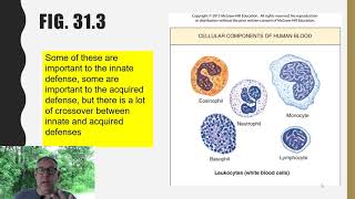 Zoology Lecture 29 - Immune System (innate immunity)