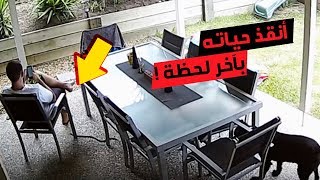 كلب ينقذ صاحبه بآخر لحظة من ثعبان قاتل .. لحظات لا تُنسى!!