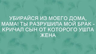 Убирайся из моего дома, мама! Ты разрушила мой брак - кричал сын, от которого ушла жена.