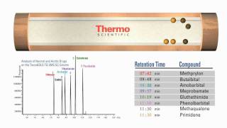 Thermo Scientific - How GC Columns Work