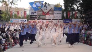 よさこい祭り2016（全国大会）　舞龍人（高知城演舞場）