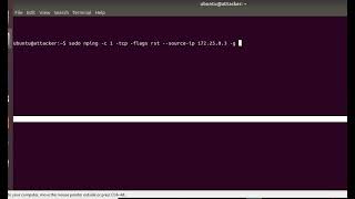 Lab 7 TCPIP task 2 TCP RST - Networks Security Laboratory - JUST university