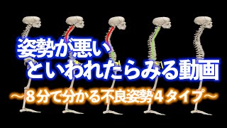 姿勢が悪いと言われたらみる動画〜８分で分かる不良姿勢４タイプ〜