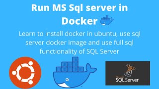 How to run sql server in docker container | Run sql server in linux using docker within few minutes