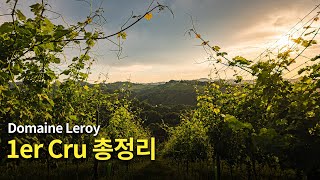 [Eng.sub] Domaine Leroy의 1er Cru 와인 총정리! 🧐 (+가성비 좋은 village급도 간단히 소개해드립니다)