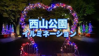 鯖江西山公園イルミネーション