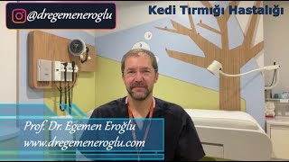 Kedi Tırmığı Hastalığı... Prof.Dr. Egemen Eroğlu