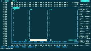 DHEX: hex editor with a diff mode