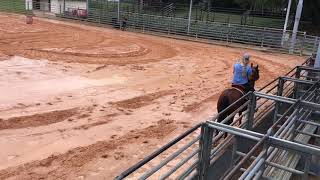 Nikki + Portia 6/3/17 CA youth barrel race