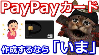 PayPayカードを「今」作るとお得な3つの理由について解説