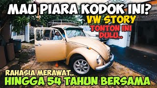 CARA MERAWAT VW KODOK hingga 54 tahun | owner experience #vwkodok #tatatomotif