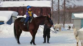 Northpole stable 2018  小学校2年生　I君の乗馬練習