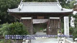 お遍路さん同行記　香川編Ⅱ　大興寺・神恵院・観音寺