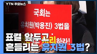 표결 앞두고 흔들리는 유치원 3법?...\