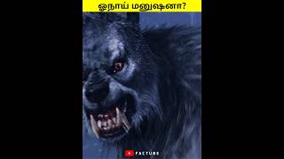 🛑என்னடா இப்படி😱கிளம்பிட்டீங்க ஓநாய் மனிதன்🤧20,000Dollars கடைசி வரை பாருங்க #shorts #wolfman #facts #