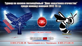 25.02.2023 СТАЛЬНЫЕ СОВЫ (Черемшан) - ЛЕСНЫЕ ПЧЕЛЫ (Елабуга) LIVE 11:00 2012-13 г.р.