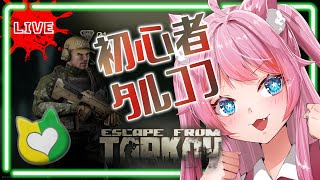 【EFT】雑談⭐しながら初心者タルコフをちょっとやってみる🍦【EscapefromTarkov】🔴ライブ配信