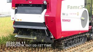 Yanmar YH7120 新割稻機第一次下田 農糧署大型農機計畫補助