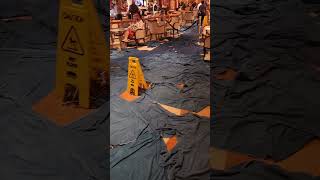 'Crazy to Witness': Cruise Passengers Experience On Board Waterfall Due to Burst Pipe