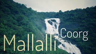 Mallalli water false | coorg | 2024