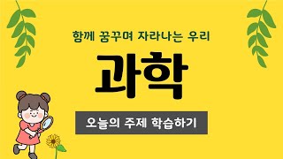 나만의 과학실험하기