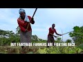 Farmers on the Frontline