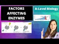 Factors Affecting Enzymes: Temperature, pH, substrate & Enzymes concentration and Inhibitors.