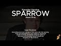 Jason Gray - Sparrow (Karaoke Version)