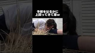 監督いないからサボりまくった結果www【あめんぼぷらす】【切り抜き】#shorts