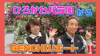 「ひろかわバラ園」からGENCHIリポートお届け🌹🌹🌹✨#ひろかわバラ園 #rose #バラ #ばら #花 #大分ケーブルテレコム #tv