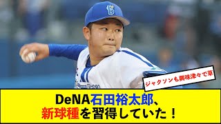 【春季キャンプ】DeNA石田裕太郎投手、〝新球〟スイーパー習得に意欲「バッターの反応を見たい」【De速】