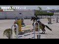 【アーカイブ】第12競技_osaka grand prix_第21回スプリング大会 csi1* w osaka